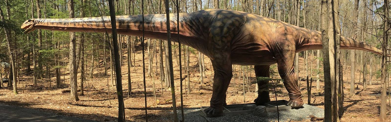 Life-size animatronic dinosaur exhibit installed in a forest park
