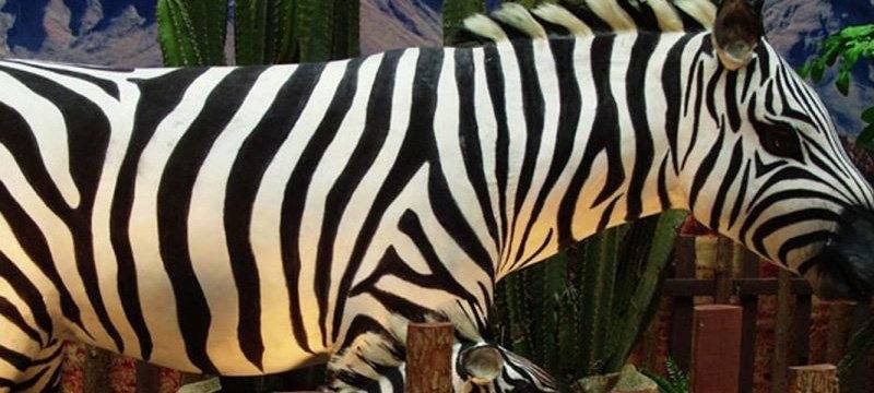 Secondary animatronic animals filling a park trail