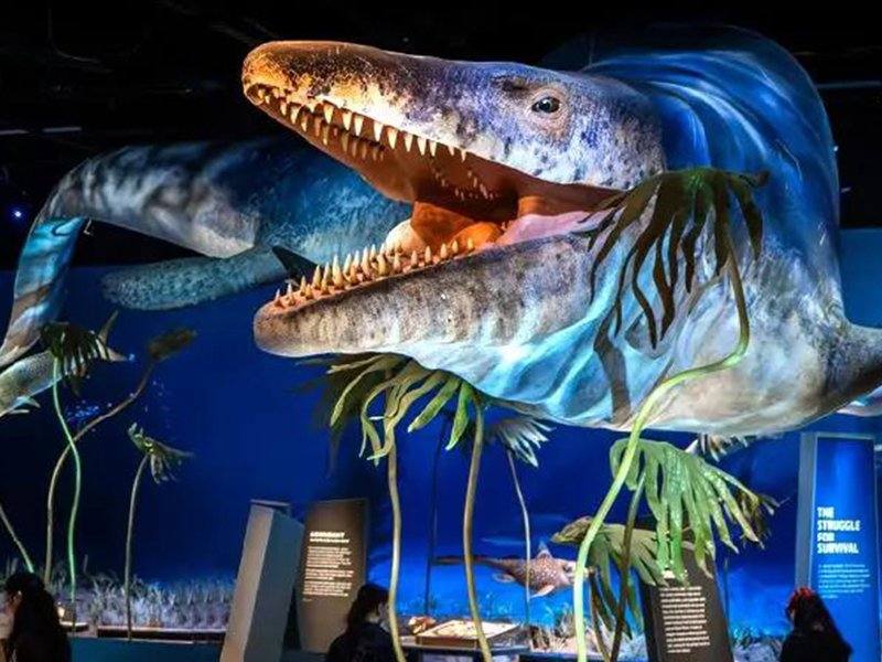 Animatronic marine reptile prehistoric sea creature exhibit in a museum