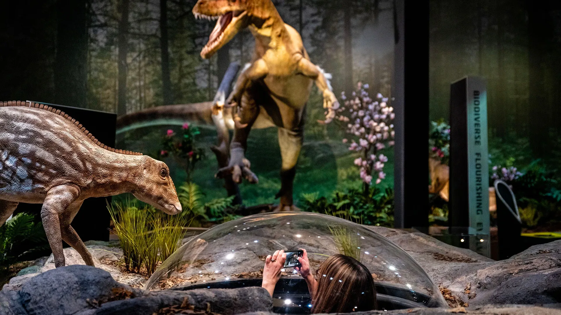 Animatronic dinosaur installed in a museum gallery hall