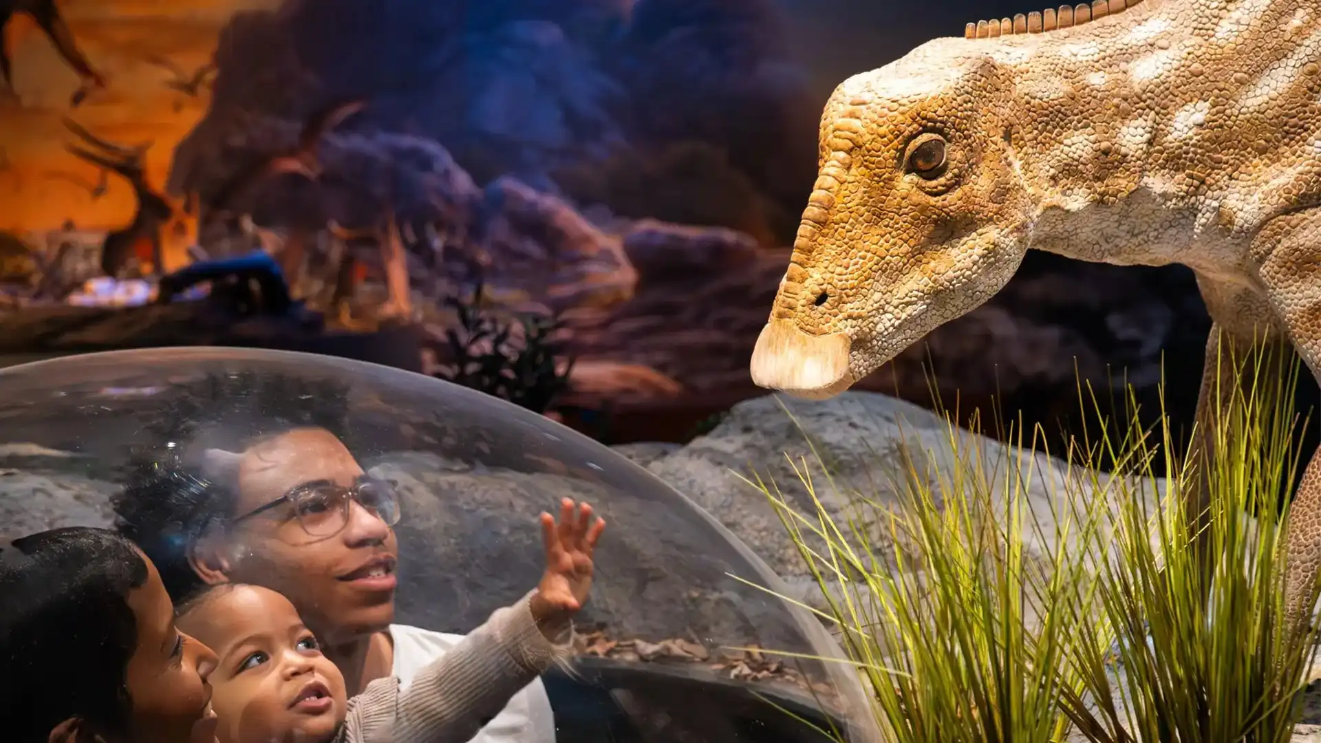 Animatronic dinosaur installations by the HLTDINO factory team