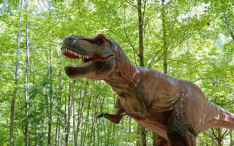 Dinosaur exhibition planning and theming design