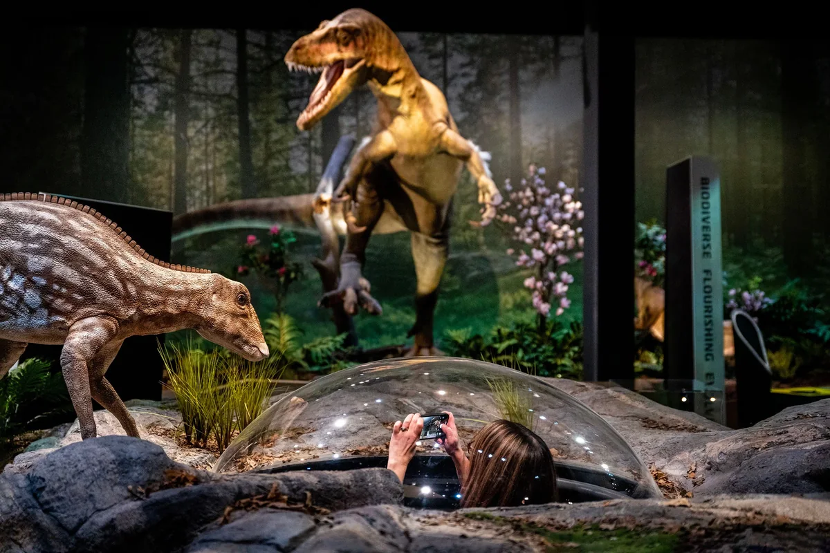 Animatronic dinosaur model on display in a museum gallery