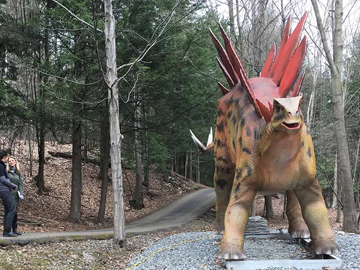 Life-size animatronic Stegosaurus on an outdoor woodland trail with two visitors walking past the gravel base