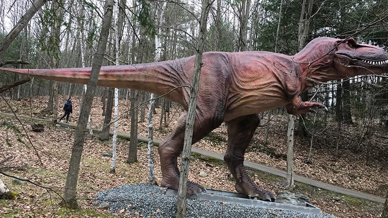 Life-Size Animatronic T-Rex — detail view