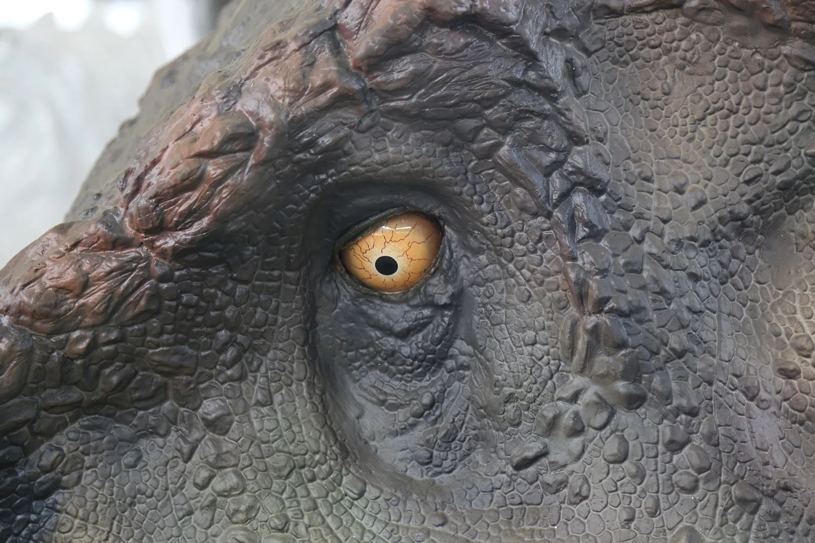 Close detail of the silicone skin on a life-size animatronic T-Rex