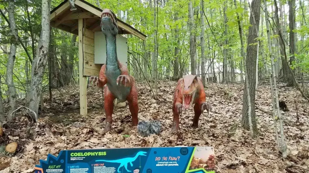 Animatronic Coelophysis
