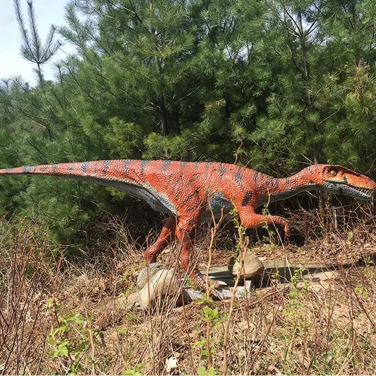 Animatronic Coelophysis in a running pose among trees
