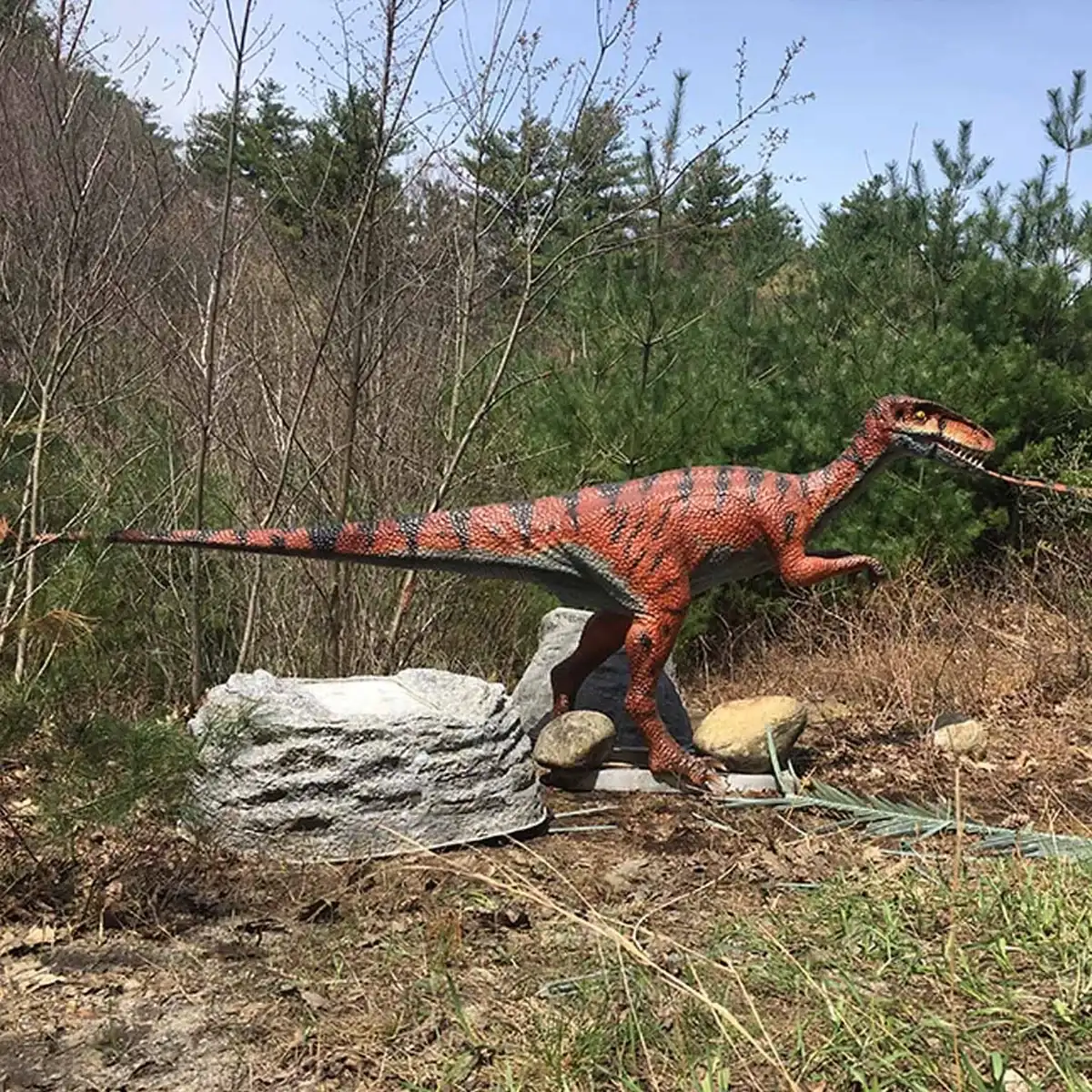 Animatronic Coelophysis exhibit group with information board on an outdoor trail