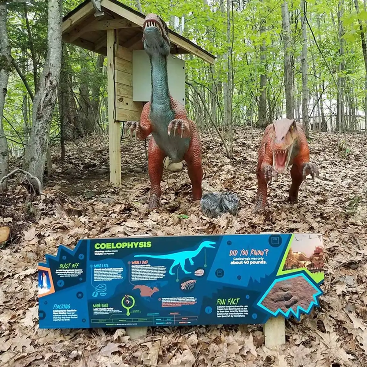 Animatronic Coelophysis specimen photographed from a different angle outdoors