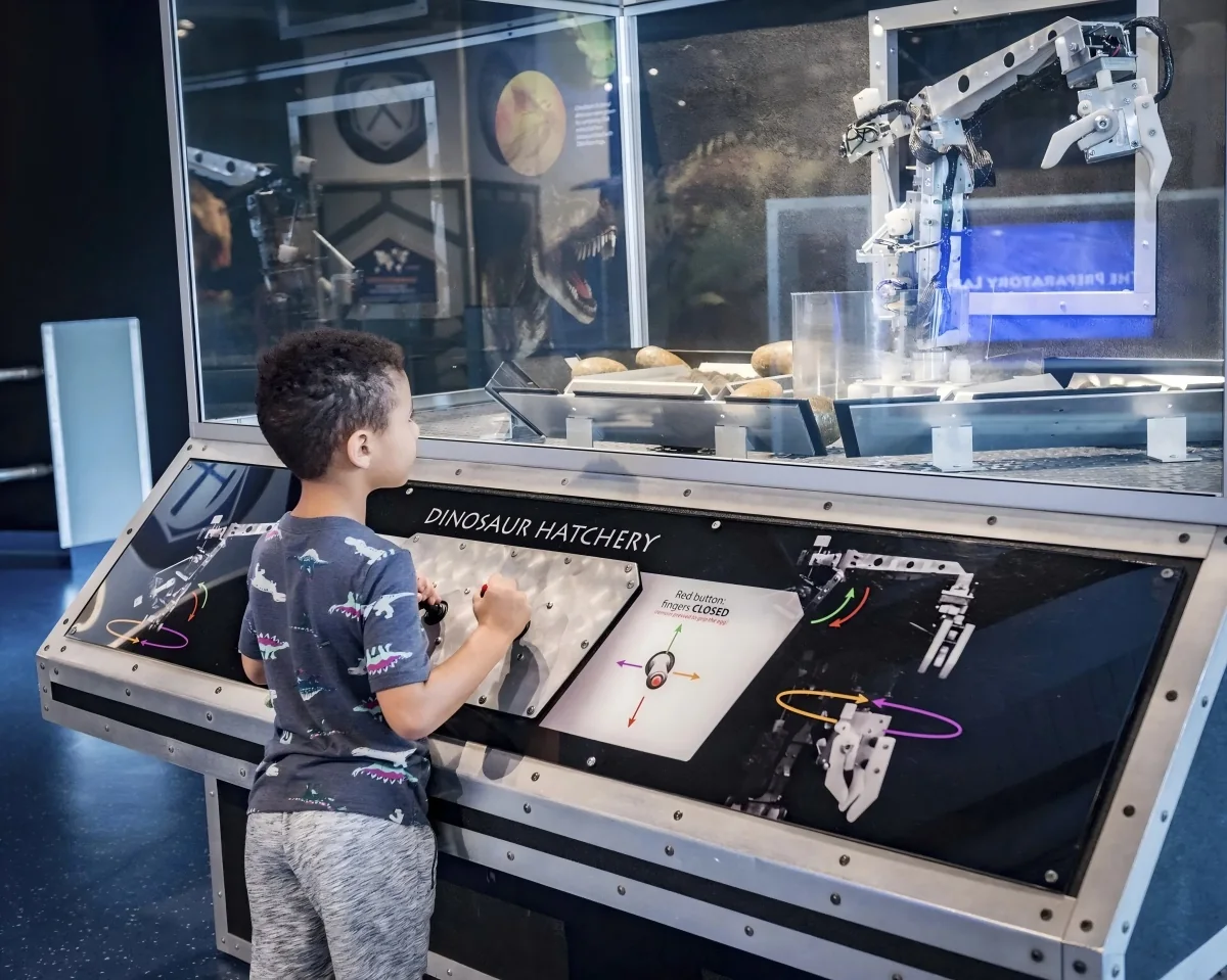 Interactive animatronic dinosaur used in a school education and outreach programme