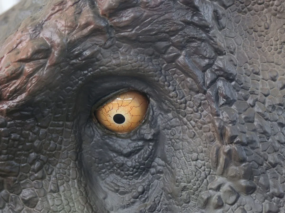 Interactive animatronic dinosaur exhibit with head turned toward a visitor