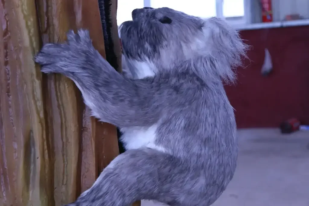 Animatronic Koala Model