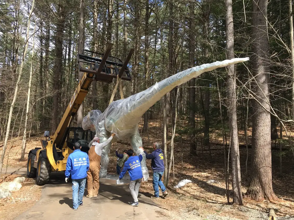 Telehandler lifting a long-neck animatronic dinosaur section into place