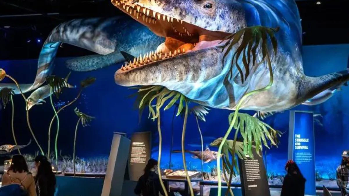 Animatronic Mosasaurus jaw and teeth detail