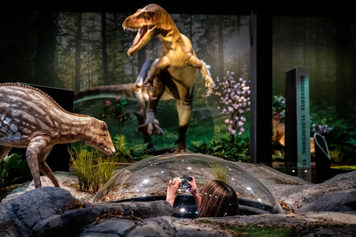 Custom animatronic dinosaur diorama in a museum exhibition