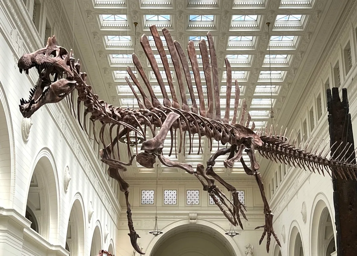 Museum animatronic dinosaurs in a natural history hall