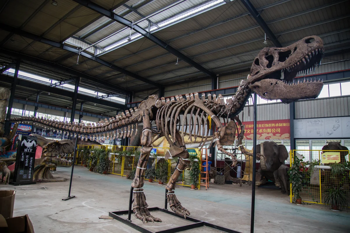 Museum-grade animatronic dinosaur skeleton replica mounted for display