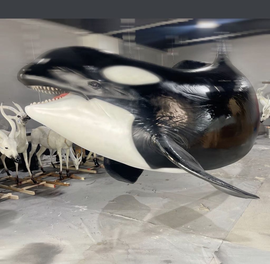Animatronic Orca Model