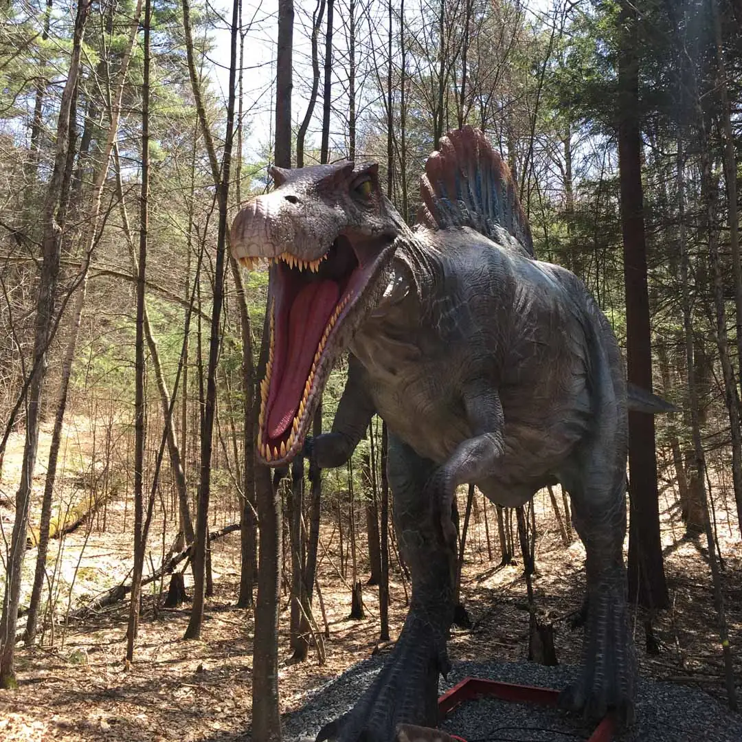Animatronic Spinosaurus with head raised and jaw open among trees