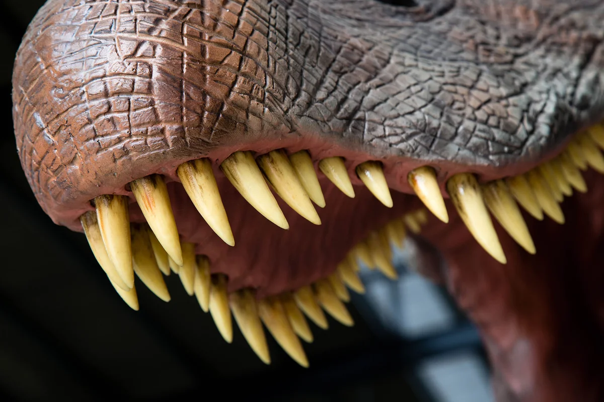 Spinosaurus hand-finished surface detail showing dorsal sail structure and skin texture