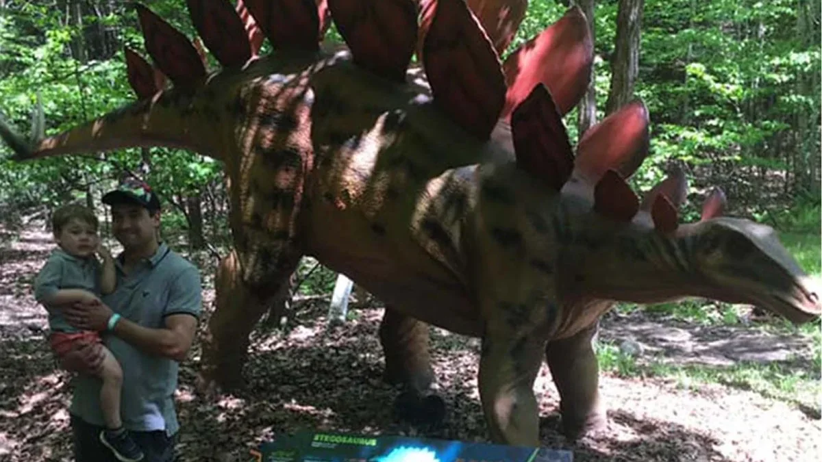 Close view of the dorsal plates and tail spikes on an animatronic Stegosaurus
