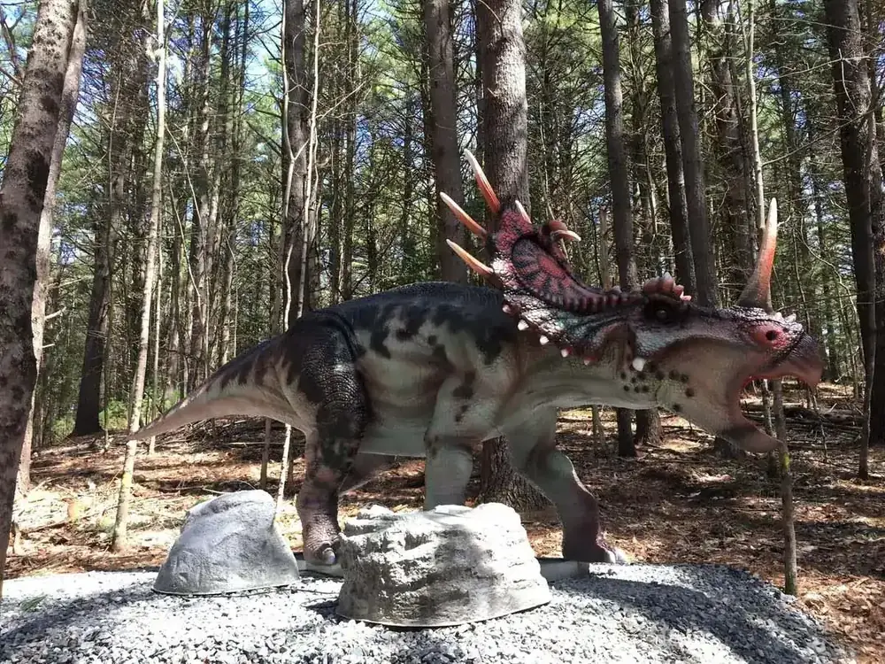 Life-Size Animatronic Styracosaurus